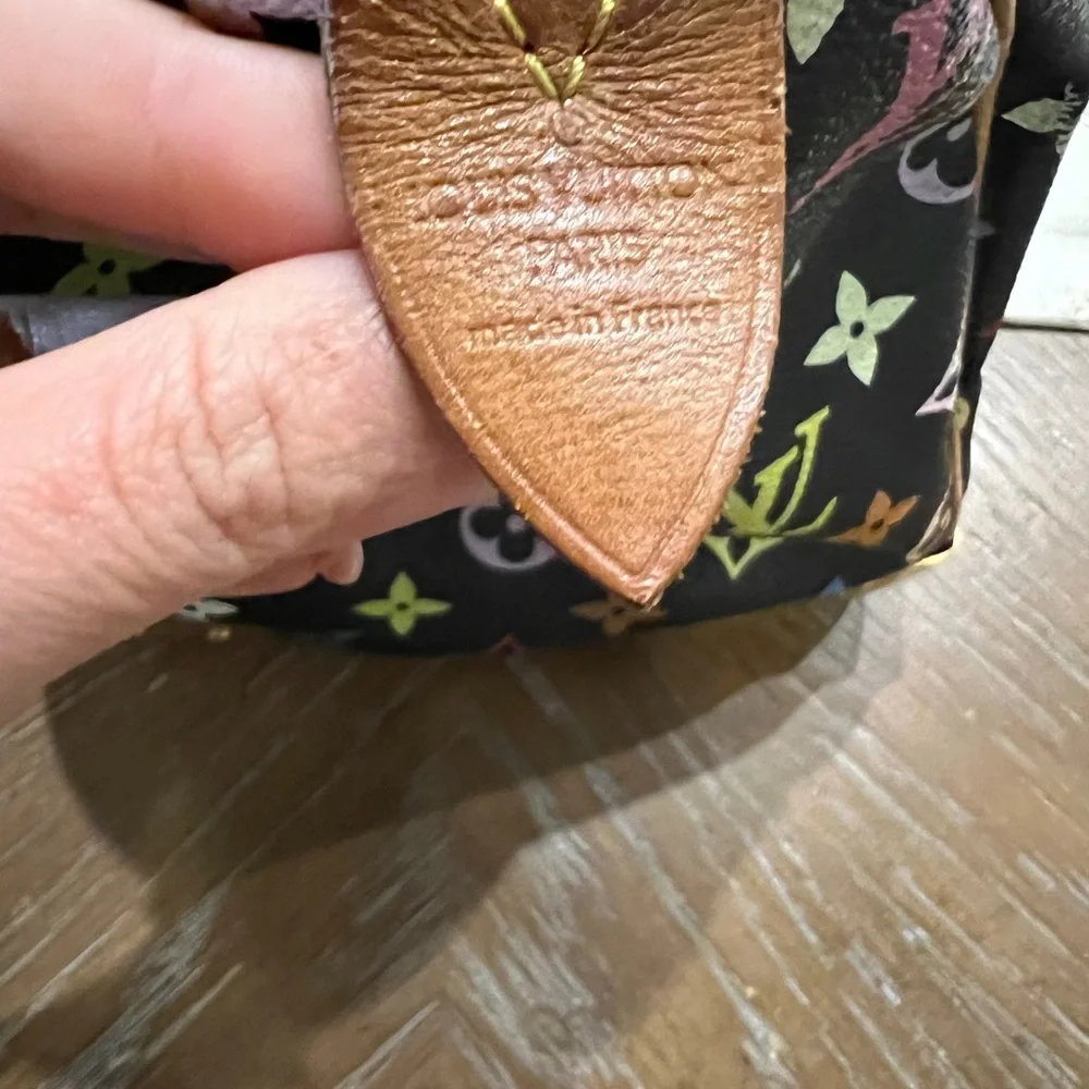 Louis Vuitton Multicolor Speedy Takashi Murakami - Picture 6 of 12